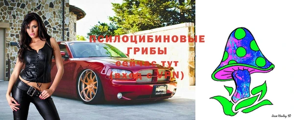 спайс Верхний Тагил
