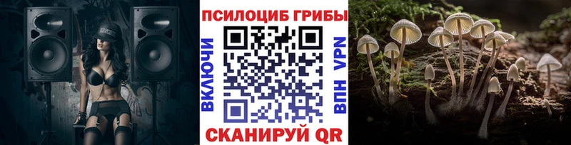 Псилоцибиновые грибы Psilocybe  Лиски 